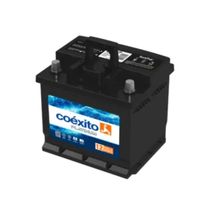 BATERIA MAC 36IST-700X
